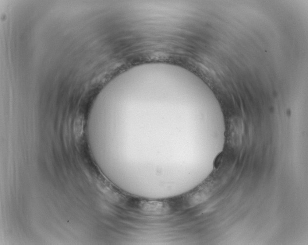 X0000088090230200706011612