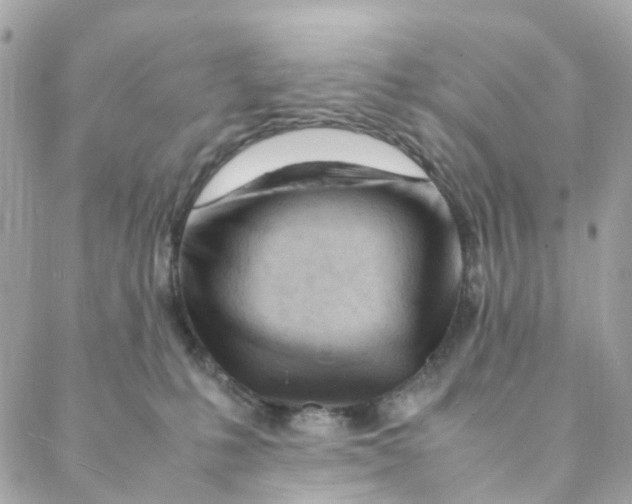 X0000088090231200706011612