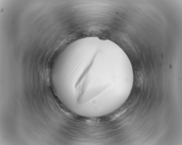 X0000088090232200706011612