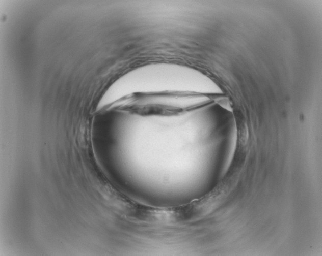 X0000088090233200706011612