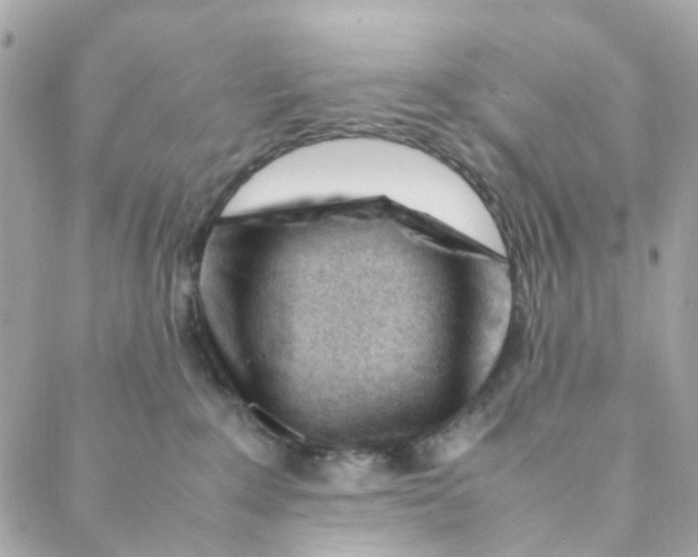 X0000088090235200706011612