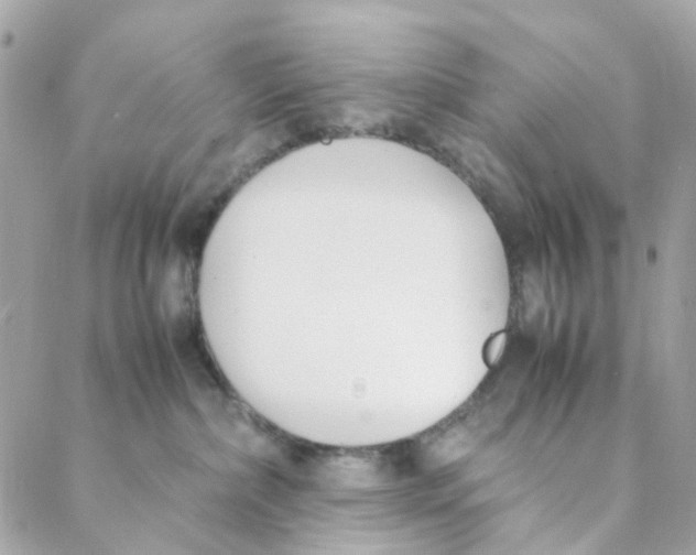 X0000088090236200706011612