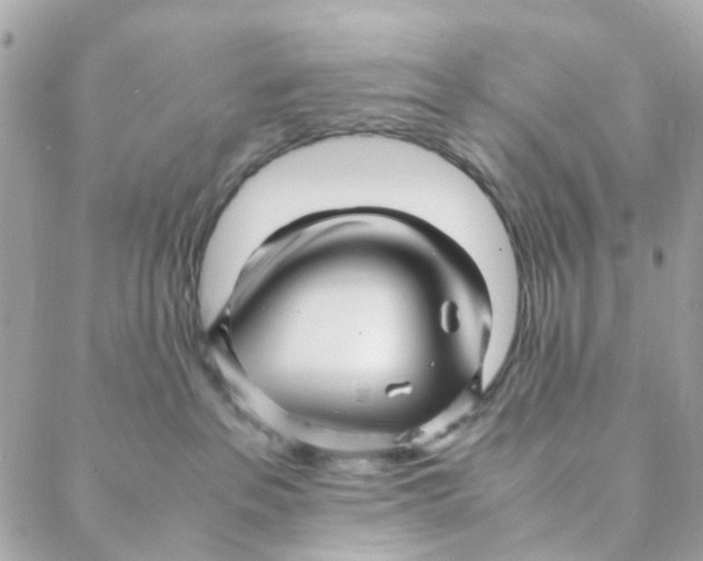 X0000088090237200706011612