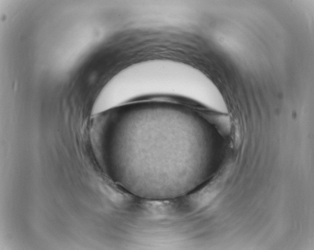 X0000088090239200706011611