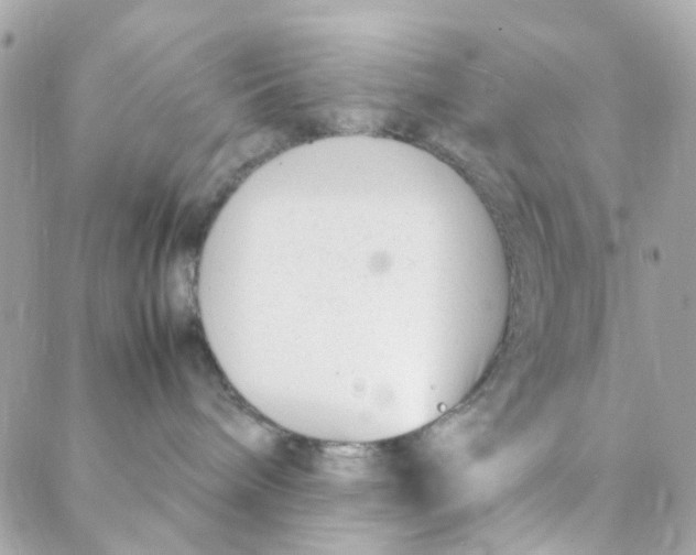 X0000088090240200706011611