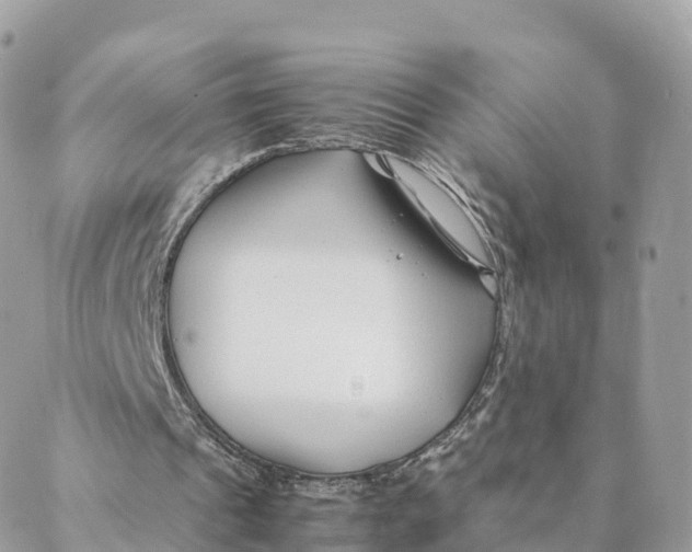 X0000088090241200706011611