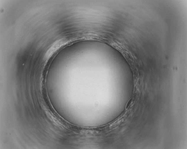 X0000088090242200706011611