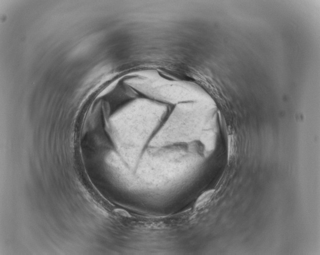 X0000088090243200706011611