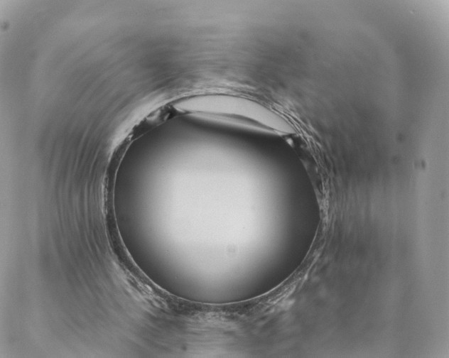 X0000088090244200706011611