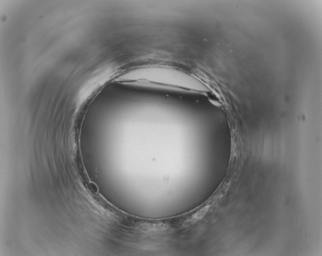 X0000088090245200706011611