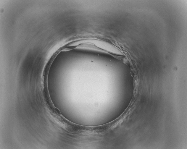 X0000088090246200706011611