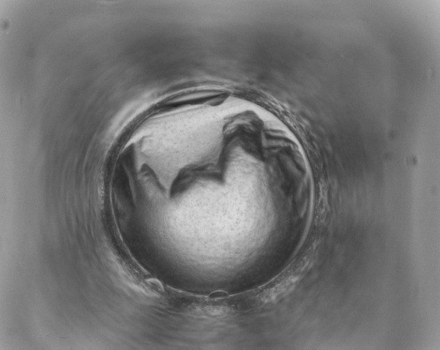 X0000088090247200706011611