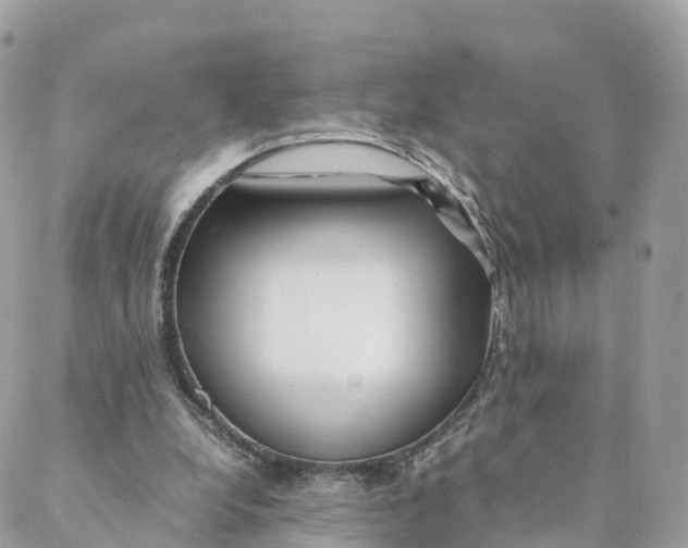 X0000088090248200706011611