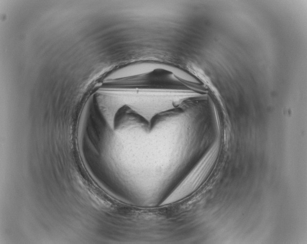 X0000088090249200706011611