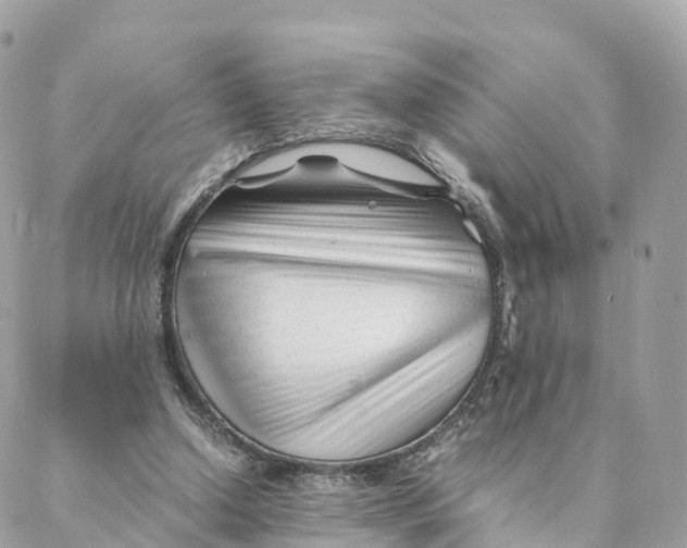 X0000088090250200706011611