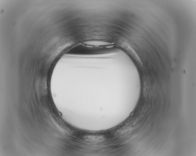 X0000088090251200706011611