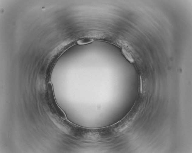 X0000088090252200706011611