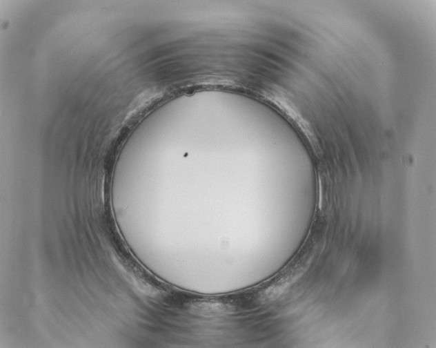 X0000088090253200706011611