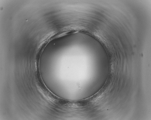 X0000088090254200706011611