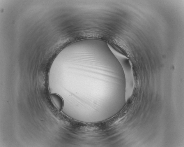 X0000088090255200706011611