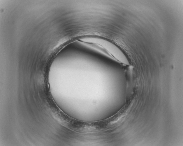 X0000088090256200706011611