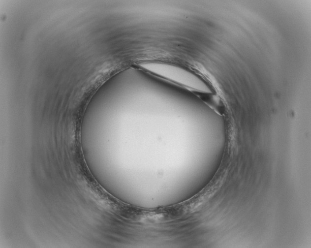 X0000088090257200706011611