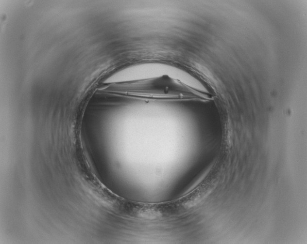 X0000088090258200706011611