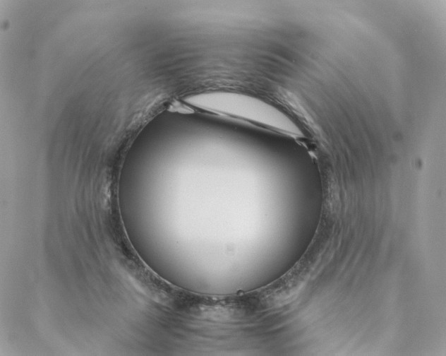 X0000088090259200706011611