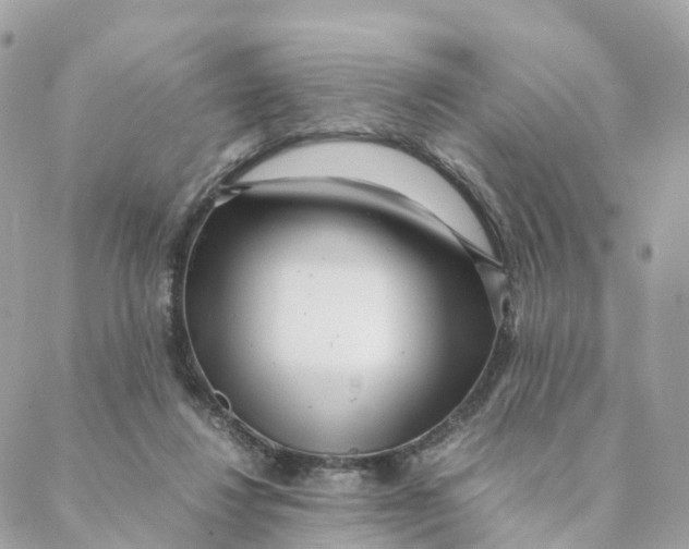 X0000088090260200706011611