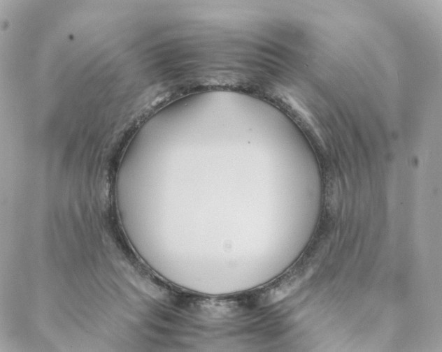 X0000088090261200706011611