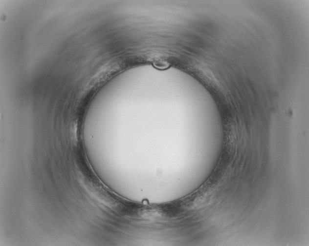 X0000088090262200706011611