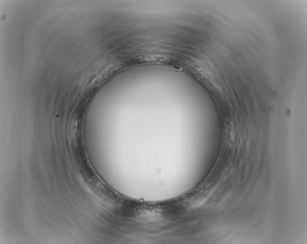 X0000088090263200706011611