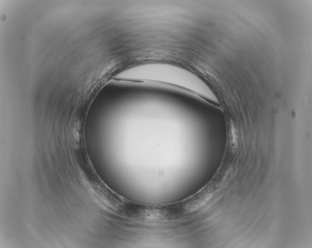 X0000088090264200706011611