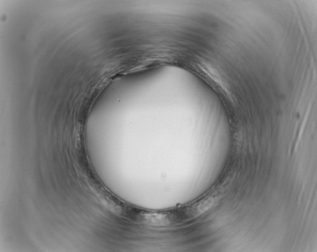 X0000088090265200706011611