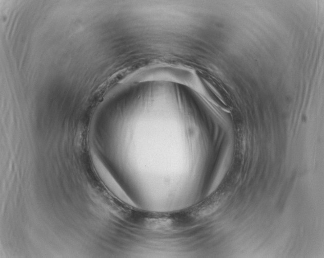 X0000088090266200706011611