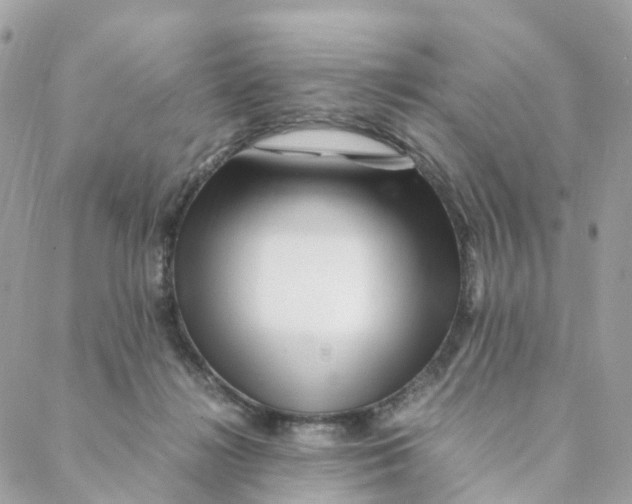 X0000088090268200706011611