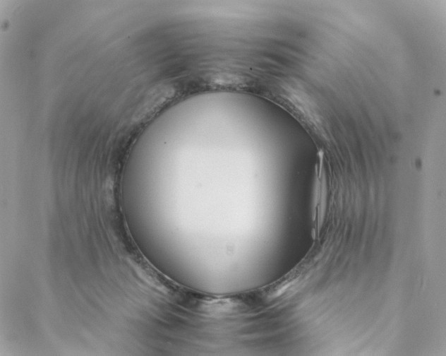 X0000088090269200706011611