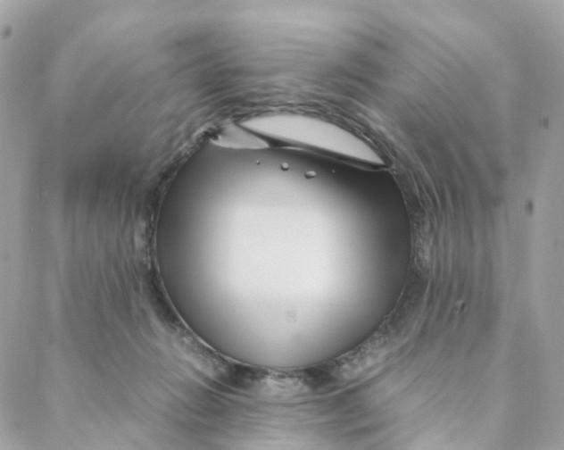 X0000088090270200706011611