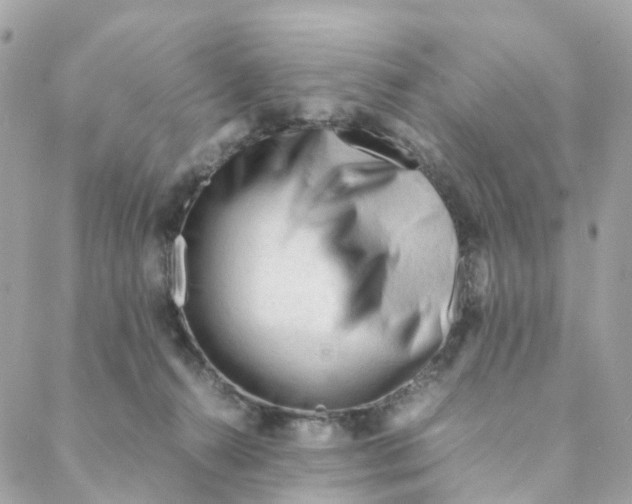 X0000088090272200706011611