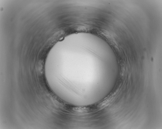 X0000088090273200706011611