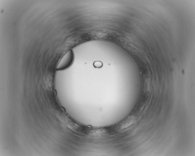 X0000088090274200706011611