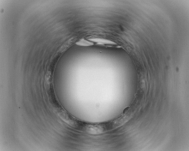 X0000088090275200706011611