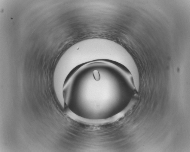 X0000088090276200706011611