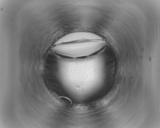 X0000088090277200706011611