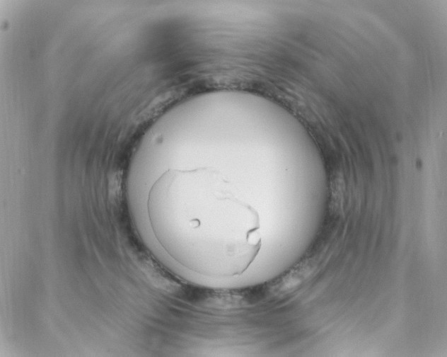 X0000088090278200706011611