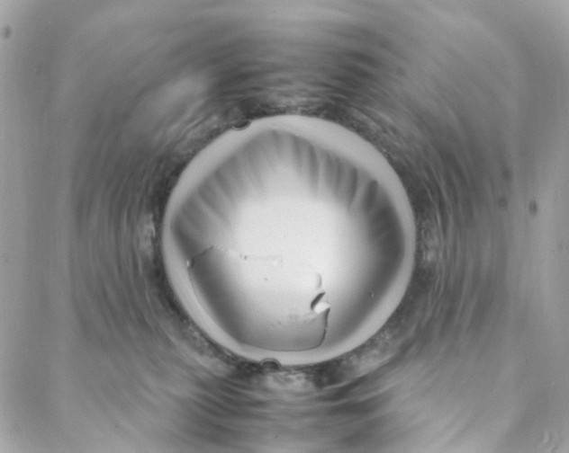 X0000088090279200706011611