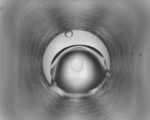 X0000088090280200706011611