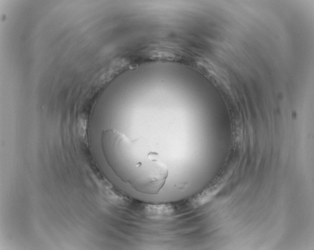 X0000088090281200706011611