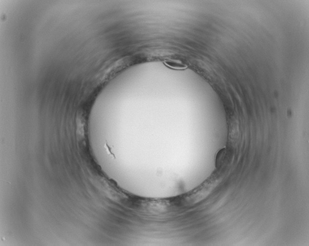 X0000088090282200706011611