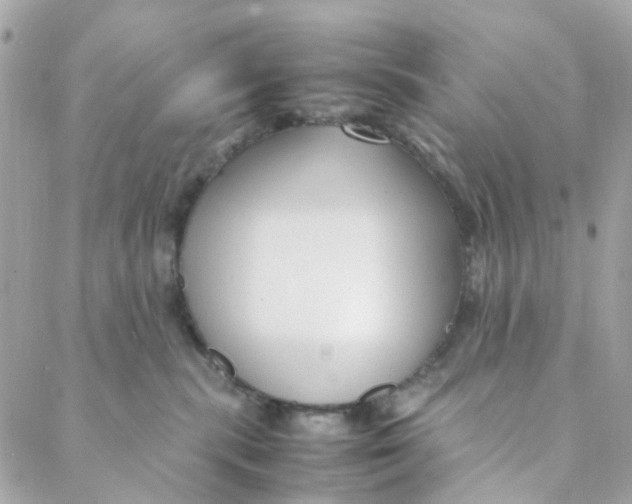 X0000088090283200706011611